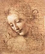 LEONARDO da Vinci, Madchenkopf with confused hair